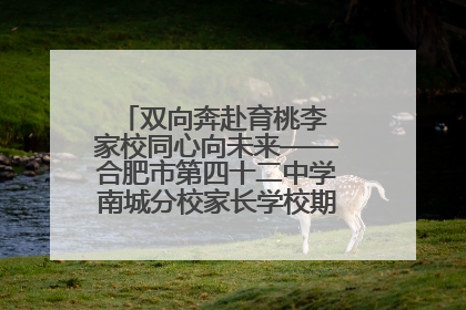 双向奔赴育桃李 家校同心向未来——合肥市第四十二中学南城分校家长学校期末总结会圆满召开
