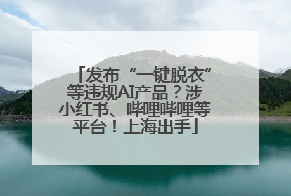 发布“一键脱衣”等违规AI产品？涉小红书、哔哩哔哩等平台！上海出手