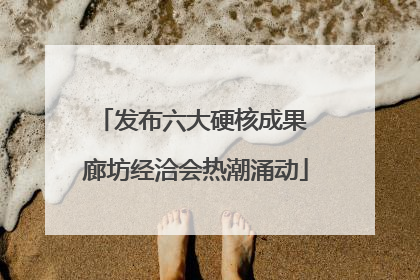 发布六大硬核成果 廊坊经洽会热潮涌动