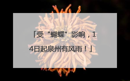 受“蝴蝶”影响，14日起泉州有风雨！