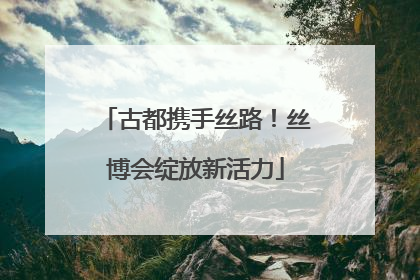 古都携手丝路！丝博会绽放新活力