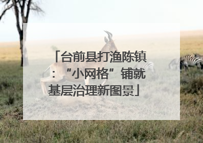 台前县打渔陈镇：“小网格”铺就基层治理新图景