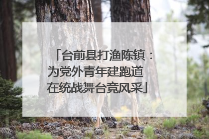台前县打渔陈镇：为党外青年建跑道 在统战舞台竞风采