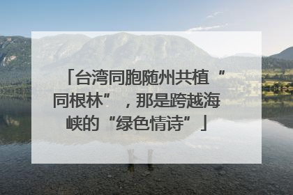 台湾同胞随州共植“同根林”，那是跨越海峡的“绿色情诗”