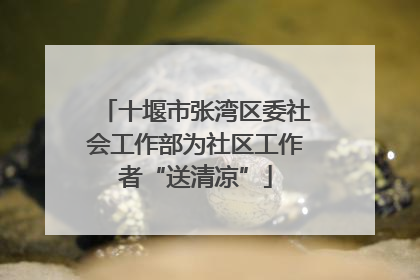 十堰市张湾区委社会工作部为社区工作者“送清凉”