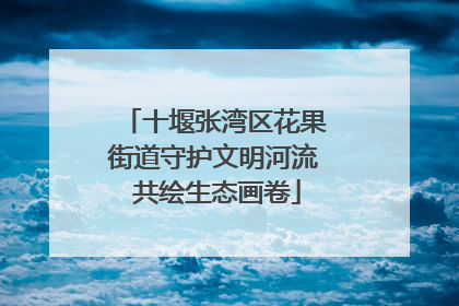 十堰张湾区花果街道守护文明河流 共绘生态画卷