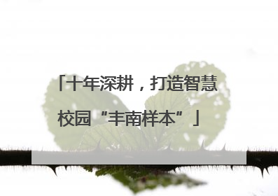 十年深耕，打造智慧校园“丰南样本”