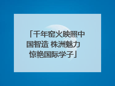 千年窑火映照中国智造 株洲魅力惊艳国际学子
