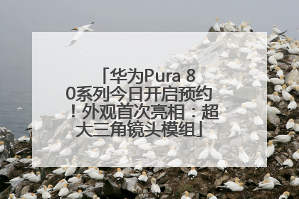 华为Pura 80系列今日开启预约！外观首次亮相：超大三角镜头模组