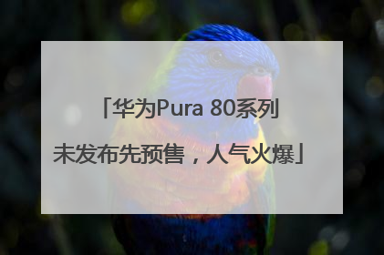 华为Pura 80系列未发布先预售，人气火爆