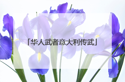 华人武者意大利传武
