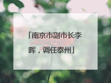 南京市副市长李晖，调任泰州