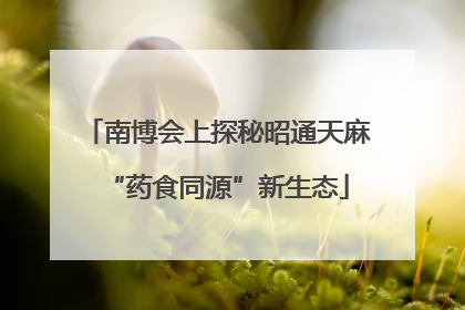 南博会上探秘昭通天麻“药食同源”新生态