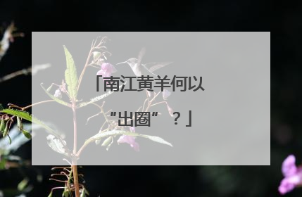 南江黄羊何以“出圈”？