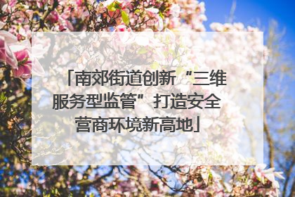 南郊街道创新“三维服务型监管”打造安全营商环境新高地