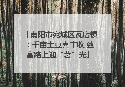 南阳市宛城区瓦店镇：千亩土豆喜丰收 致富路上迎“薯”光