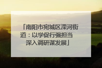 南阳市宛城区溧河街道：以学促行强担当 深入调研谋发展