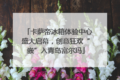 卡萨帝冰箱体验中心盛大启幕，创意狂欢“嵌”入青岛富尔玛