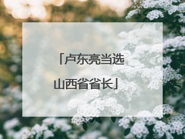 卢东亮当选山西省省长