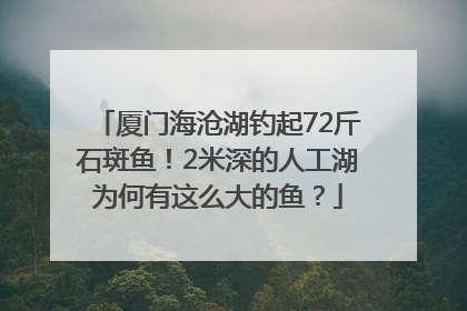 厦门海沧湖钓起72斤石斑鱼！2米深的人工湖为何有这么大的鱼？