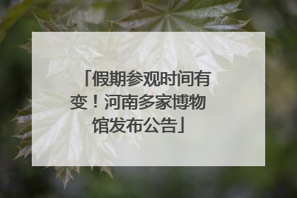 假期参观时间有变！河南多家博物馆发布公告