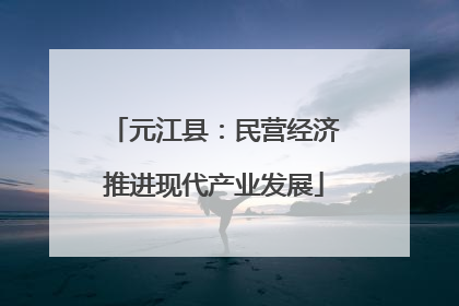 元江县：民营经济推进现代产业发展
