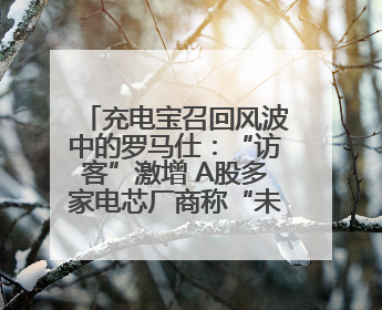 充电宝召回风波中的罗马仕：“访客”激增 A股多家电芯厂商称“未供货”
