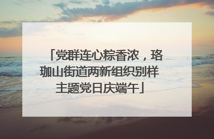 党群连心粽香浓，珞珈山街道两新组织别样主题党日庆端午