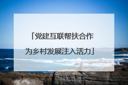 党建互联帮扶合作 为乡村发展注入活力