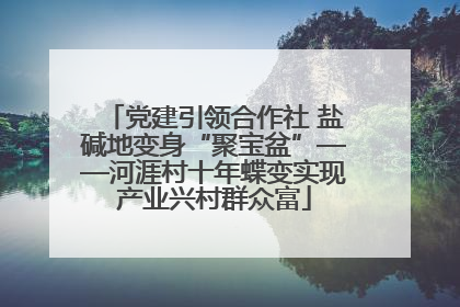 党建引领合作社 盐碱地变身“聚宝盆”——河涯村十年蝶变实现产业兴村群众富