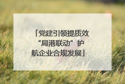 党建引领提质效 “局港联动”护航企业合规发展