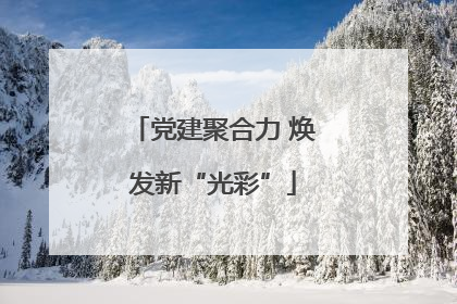 党建聚合力 焕发新“光彩”