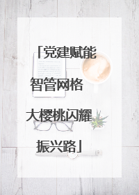 党建赋能智管网格 大樱桃闪耀振兴路