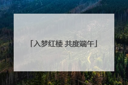 入梦红楼 共度端午
