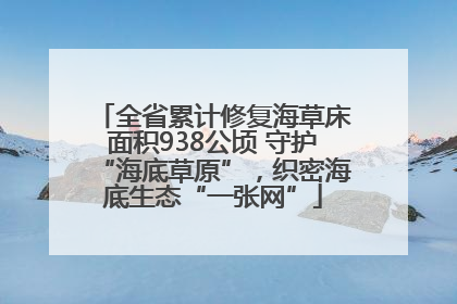 全省累计修复海草床面积938公顷 守护“海底草原”，织密海底生态“一张网”