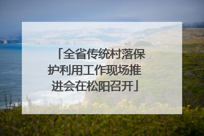 全省传统村落保护利用工作现场推进会在松阳召开