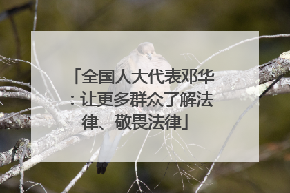 全国人大代表邓华：让更多群众了解法律、敬畏法律