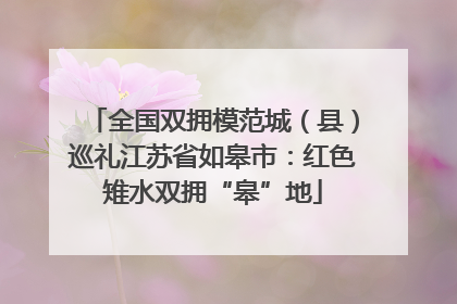 全国双拥模范城（县）巡礼江苏省如皋市：红色雉水双拥“皋”地