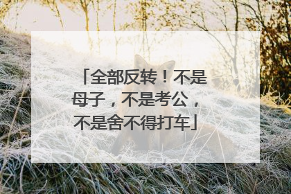 全部反转！不是母子，不是考公，不是舍不得打车