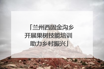 兰州西固金沟乡开展果树技能培训 助力乡村振兴