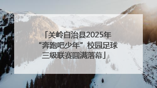 关岭自治县2025年“奔跑吧少年”校园足球三级联赛圆满落幕