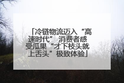 冷链物流迈入“高速时代” 消费者感受瓜果“才下枝头就上舌头”极致体验