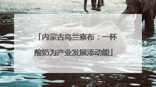 内蒙古乌兰察布：一杯酸奶为产业发展添动能