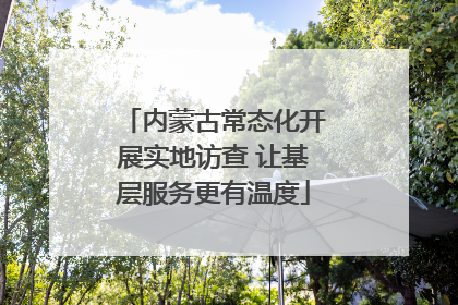 内蒙古常态化开展实地访查 让基层服务更有温度