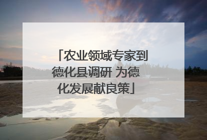 农业领域专家到德化县调研 为德化发展献良策