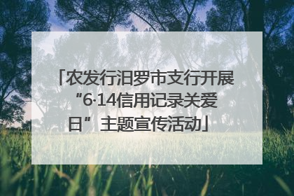 农发行汨罗市支行开展“6·14信用记录关爱日”主题宣传活动