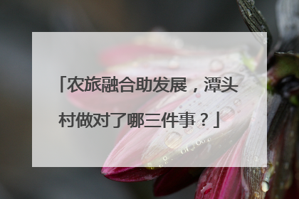 农旅融合助发展，潭头村做对了哪三件事？