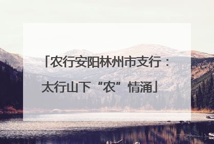 农行安阳林州市支行：太行山下“农”情涌