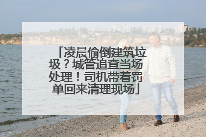 凌晨偷倒建筑垃圾？城管追查当场处理！司机带着罚单回来清理现场