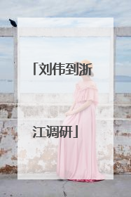 刘伟到浙江调研